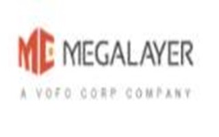 Megalayer：香港VPS低至年付189元 1核1GB内存 2M带宽 香港 美国 新加坡节点可选